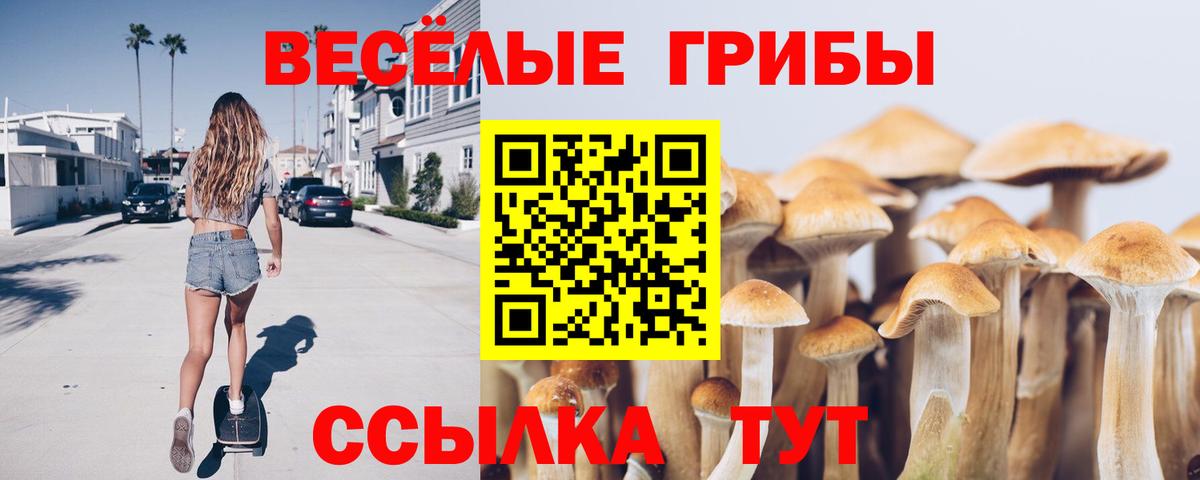 Волжск  даркнет сайт  Псилоцибиновые грибы ЛСД  Вход с VPN  Псилоцибиновые грибы ЛСД 